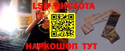 ГАЛЛЮЦИНОГЕННЫЕ ГРИБЫ Свободный