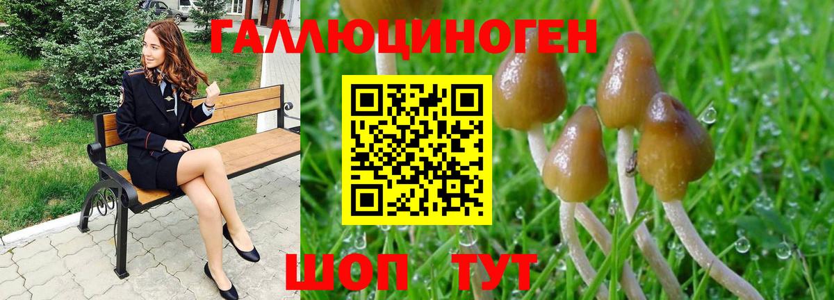 Ростов-на-Дону  Галлюциногенные грибы мухоморы  Вход с VPN 