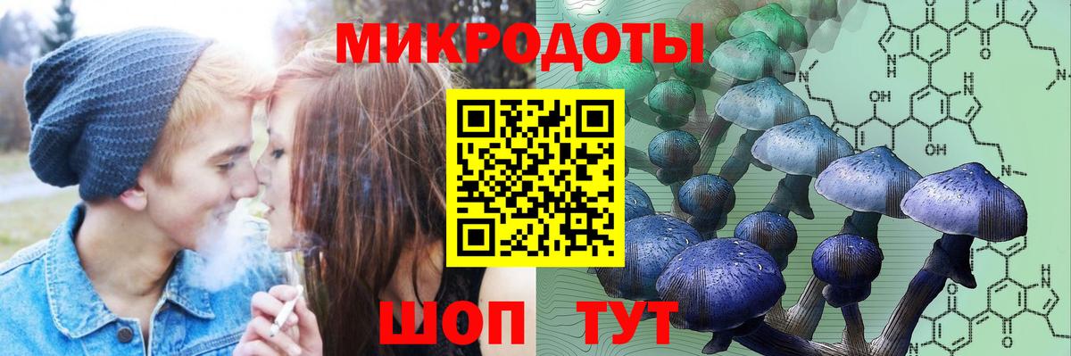 Псилоцибиновые грибы Psilocybine cubensis Ростов-на-Дону
